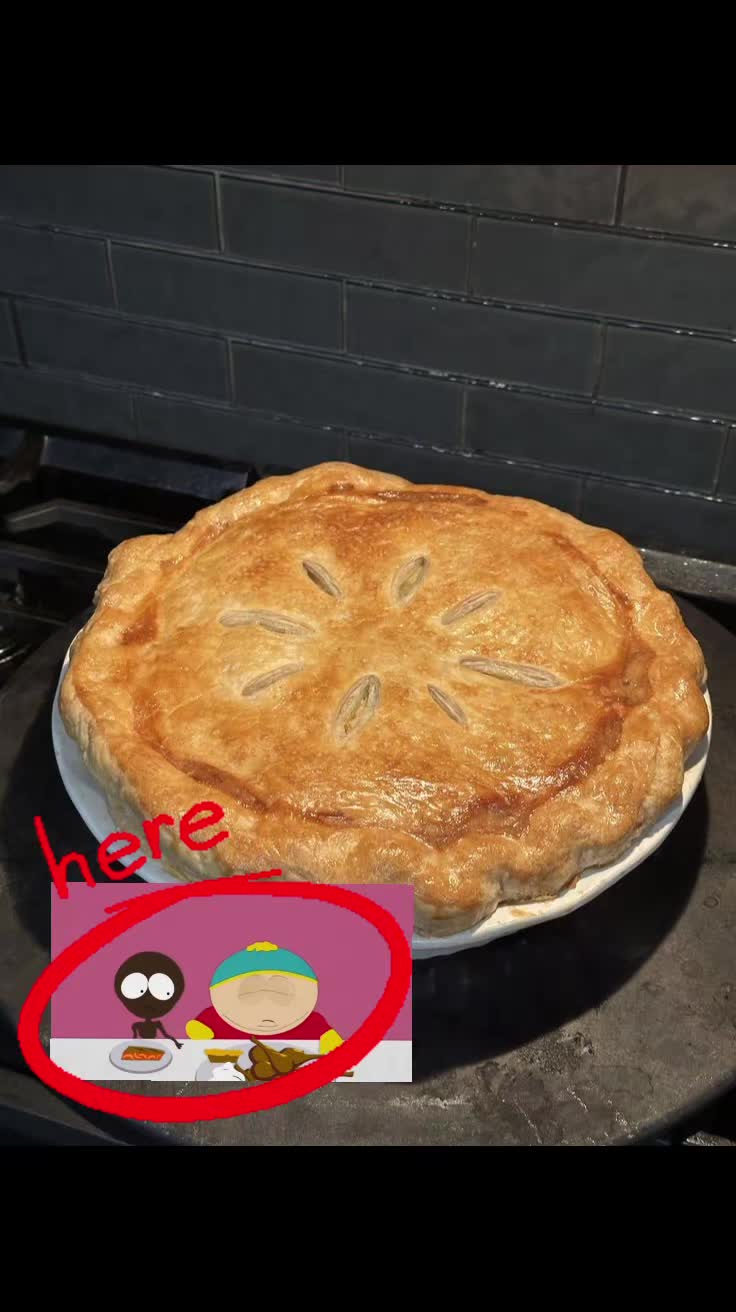 @FATCATTHE CAT