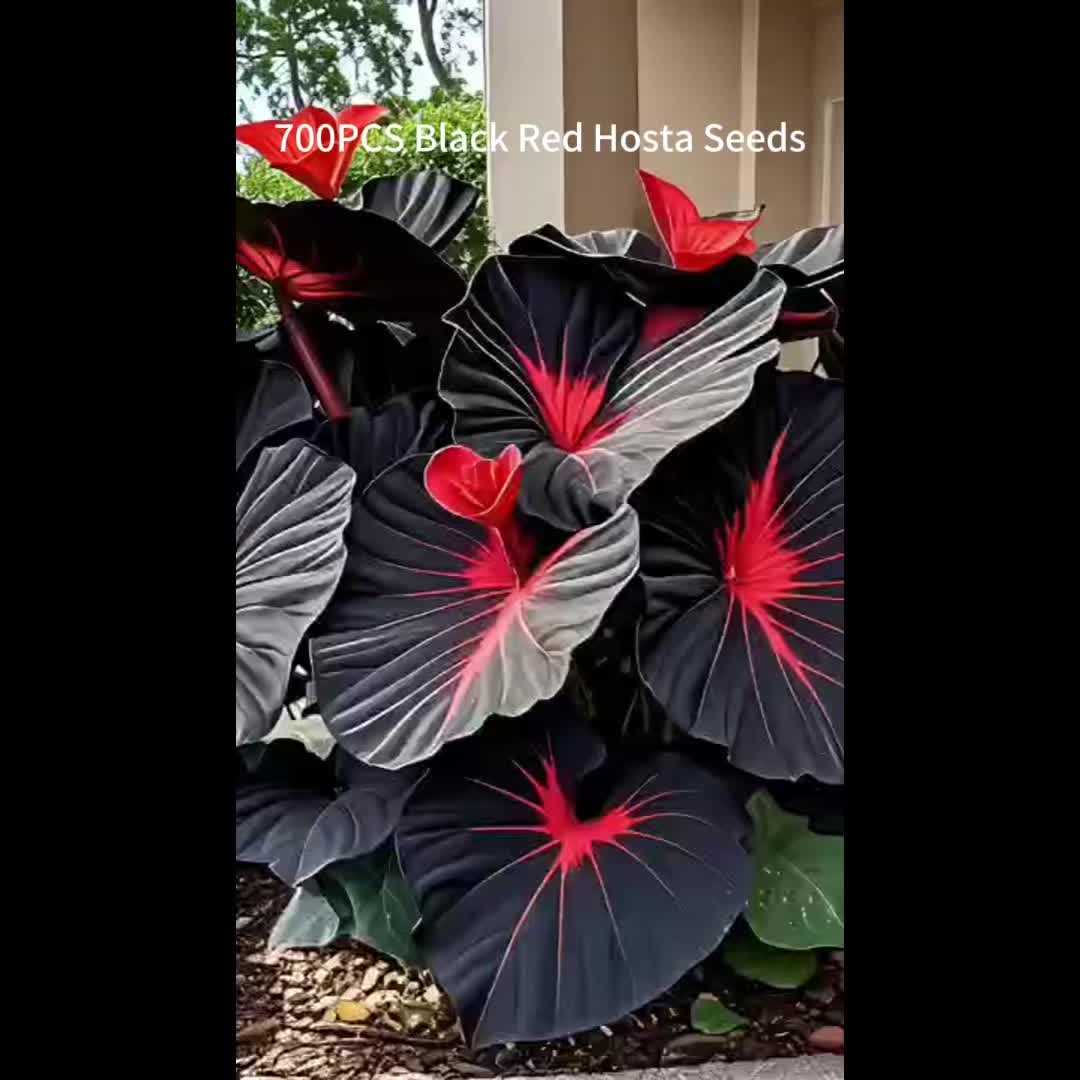 @user34428154563091