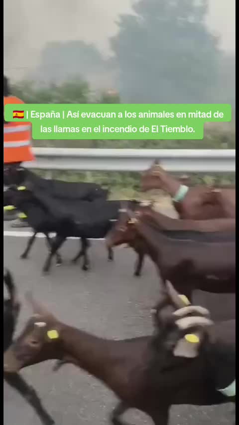 @Esp&iacute;ritu Templario News