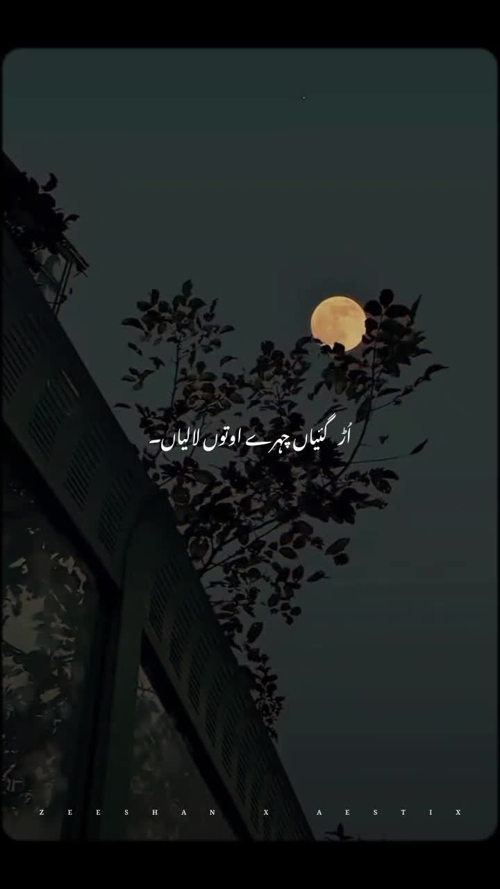 @𝙕𝙀𝙀𝙎𝙃𝘼𝙉 𝙓 𝘼𝙀𝙎𝙏𝙄𝙓
