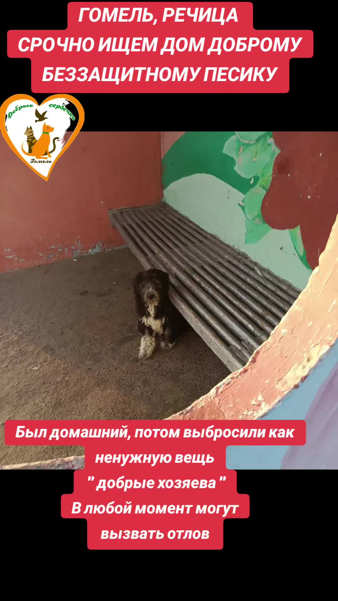 @Марина