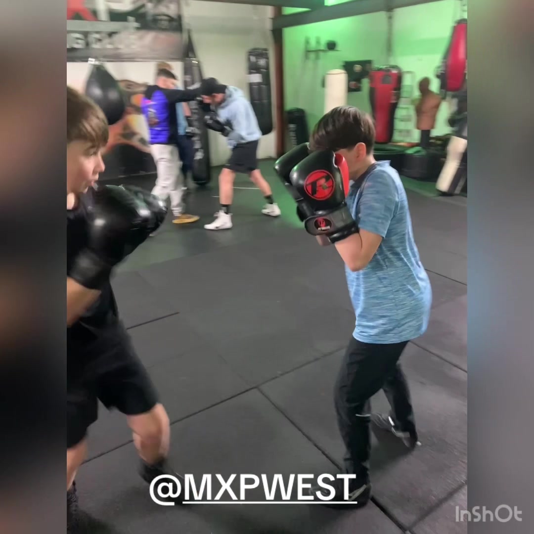 @Beezboxing🐝🥊🥊✨✨