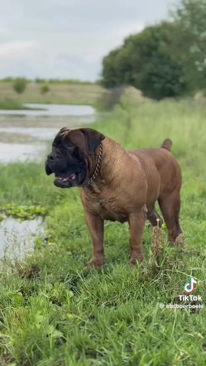 @MaNjoms wamaGovu 🐾