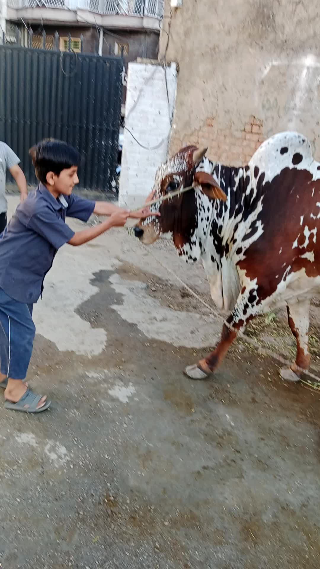 @Raja Aqib Mazhar