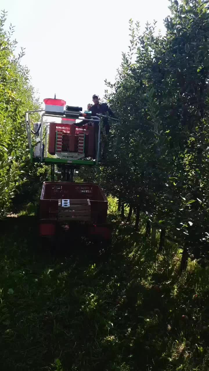 @Ovidiu Veltanu
