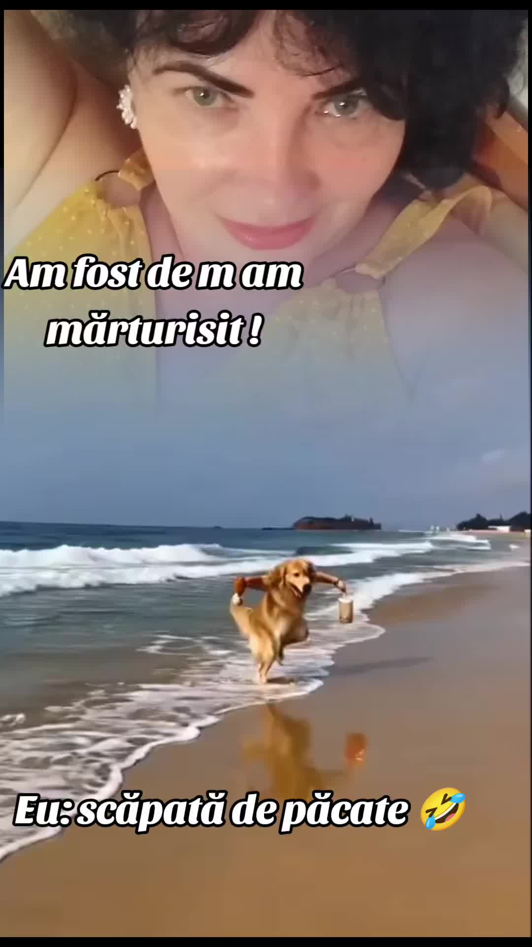 @Stefi Ciocan