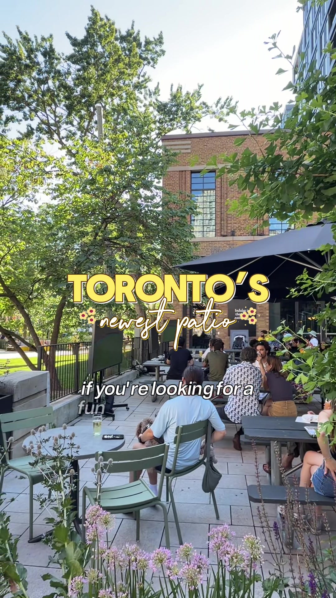 @Bray 🧸 Money & Toronto