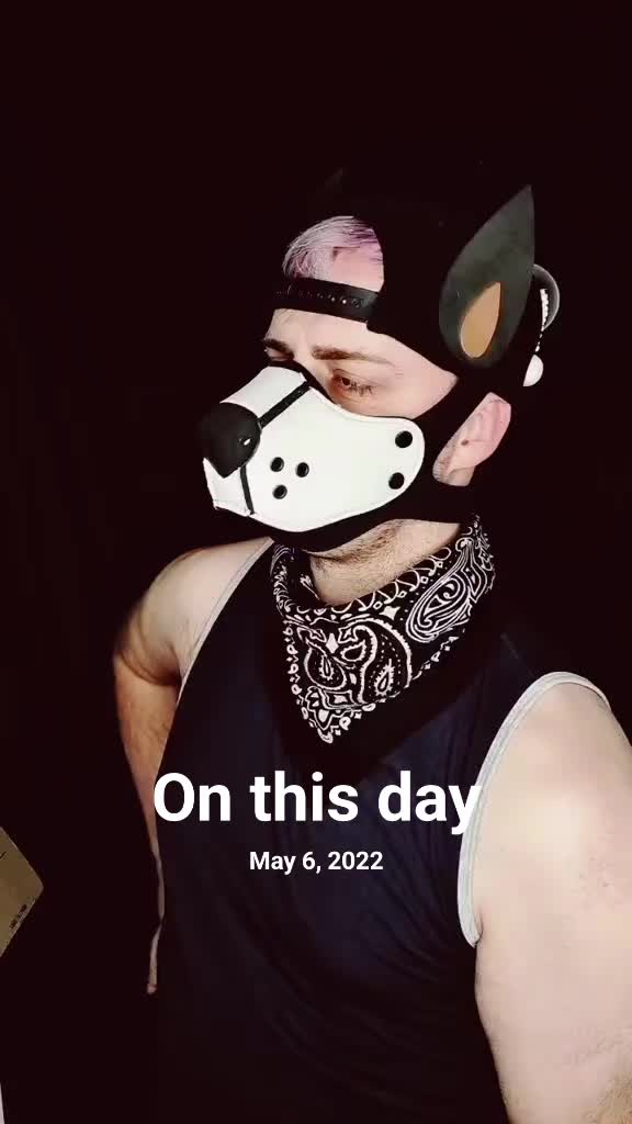 @Pup_Koba