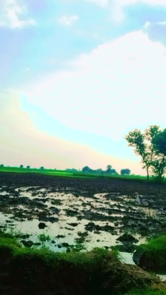 @pandu official 🥰
