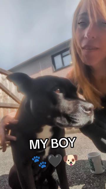 @Littledawggoffical 🇬🇧