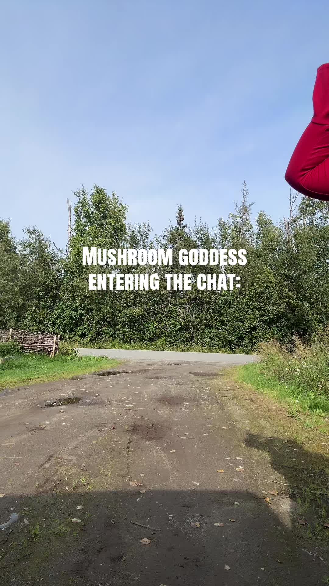 @Miranda Mushroom