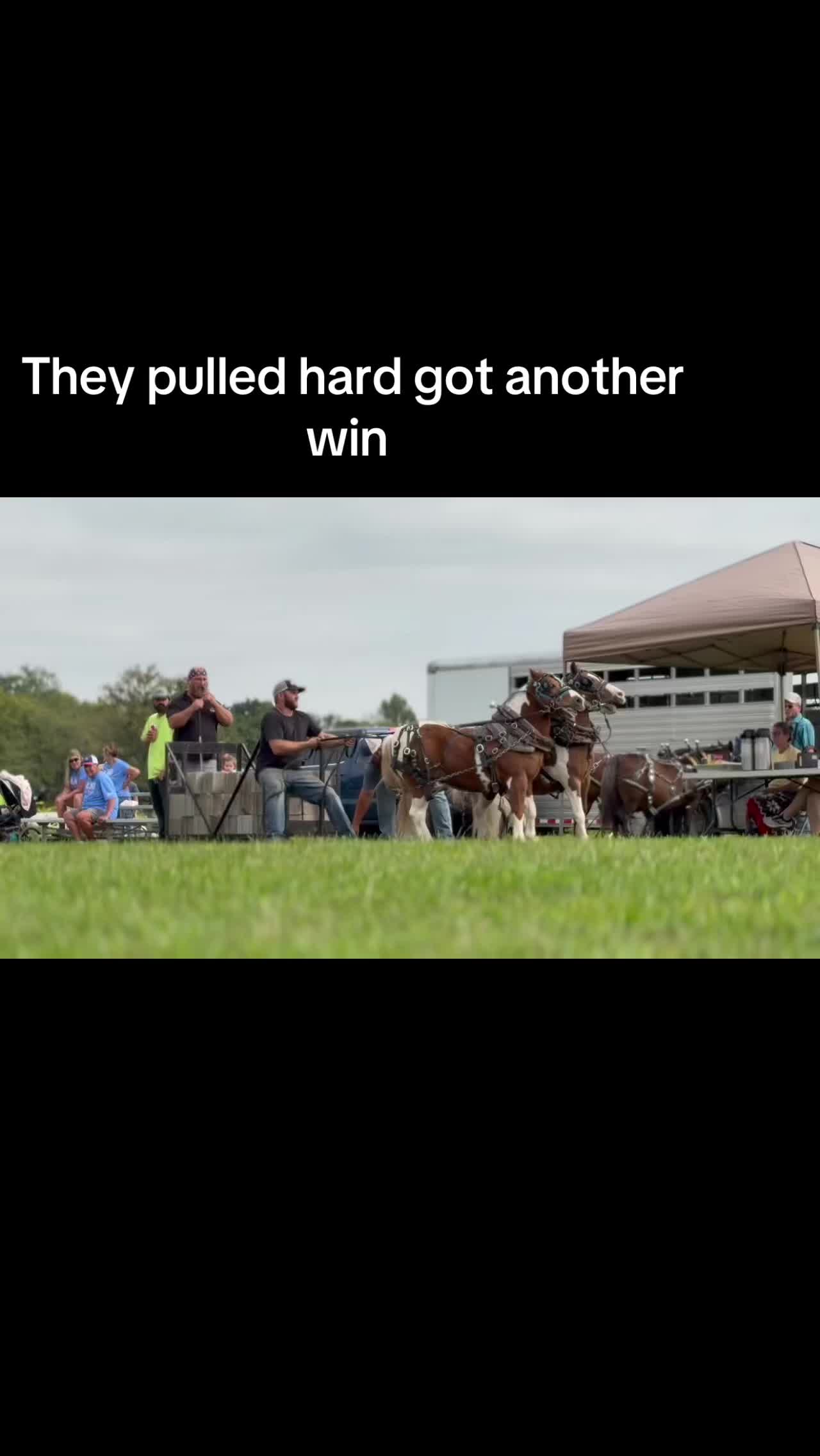 @cj