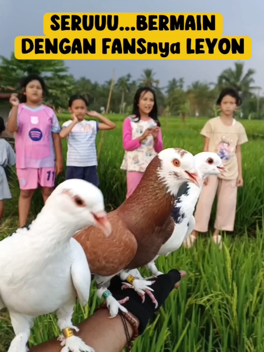 @BANG LEYON