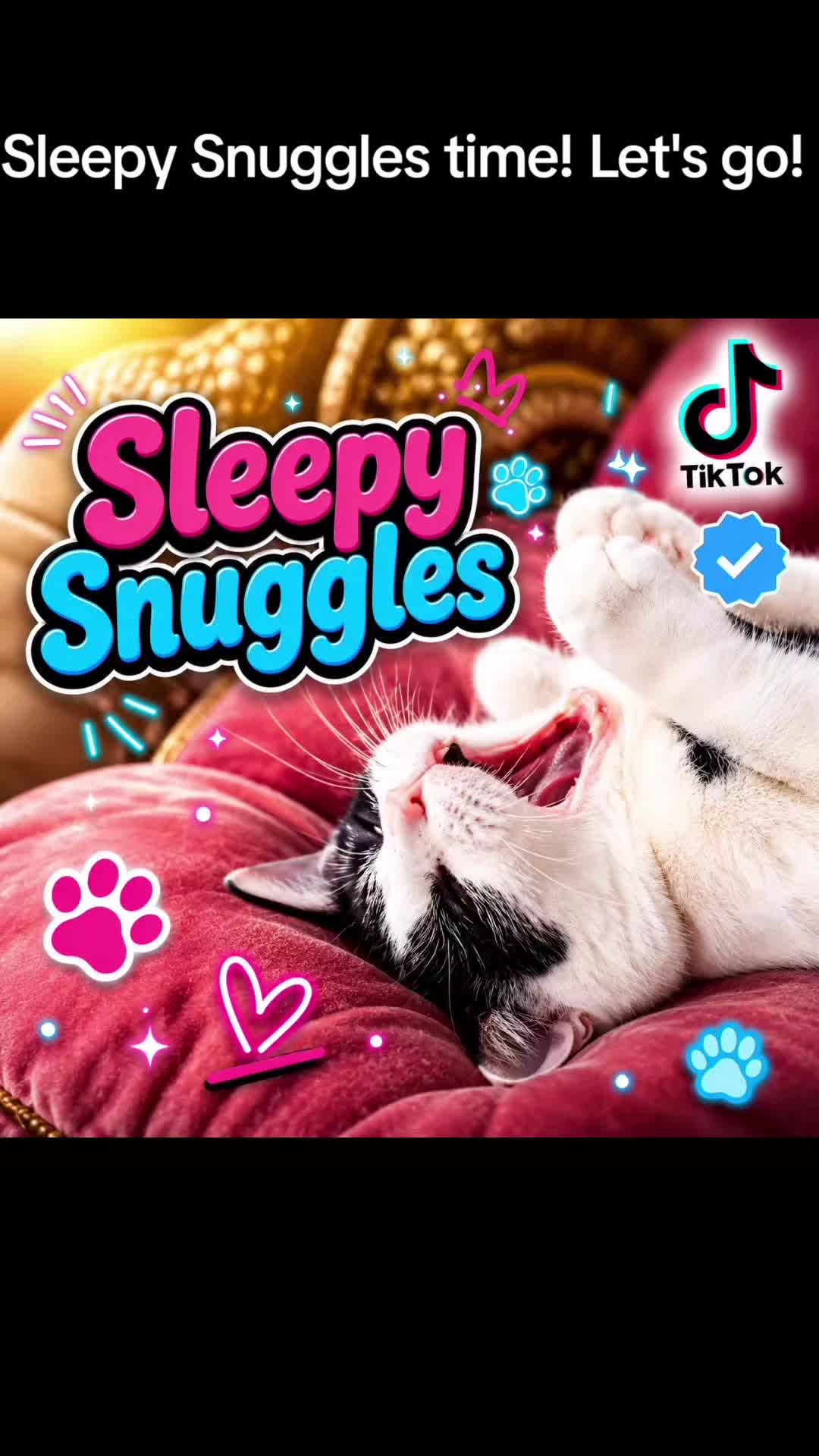 @Snuggles The Cat