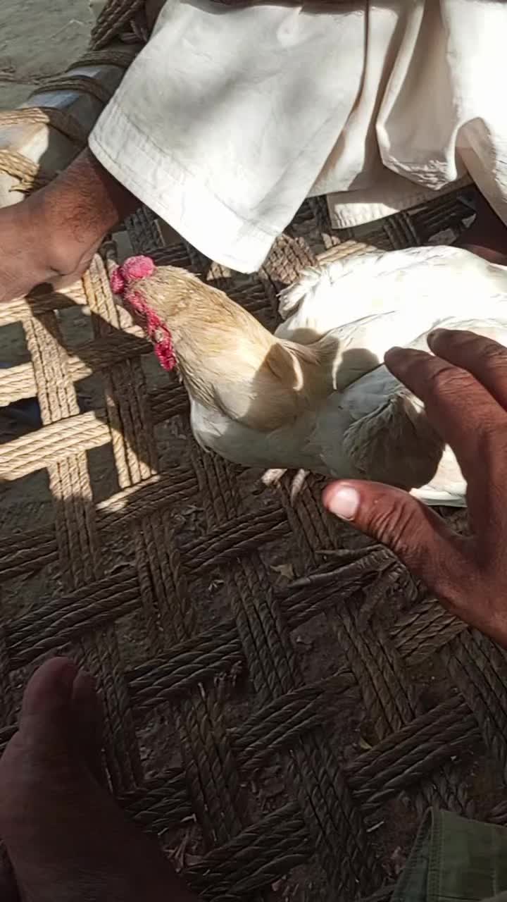 @Bilalh87