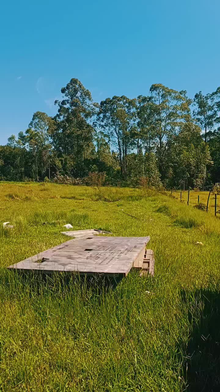 @FOGUINHO 🔥