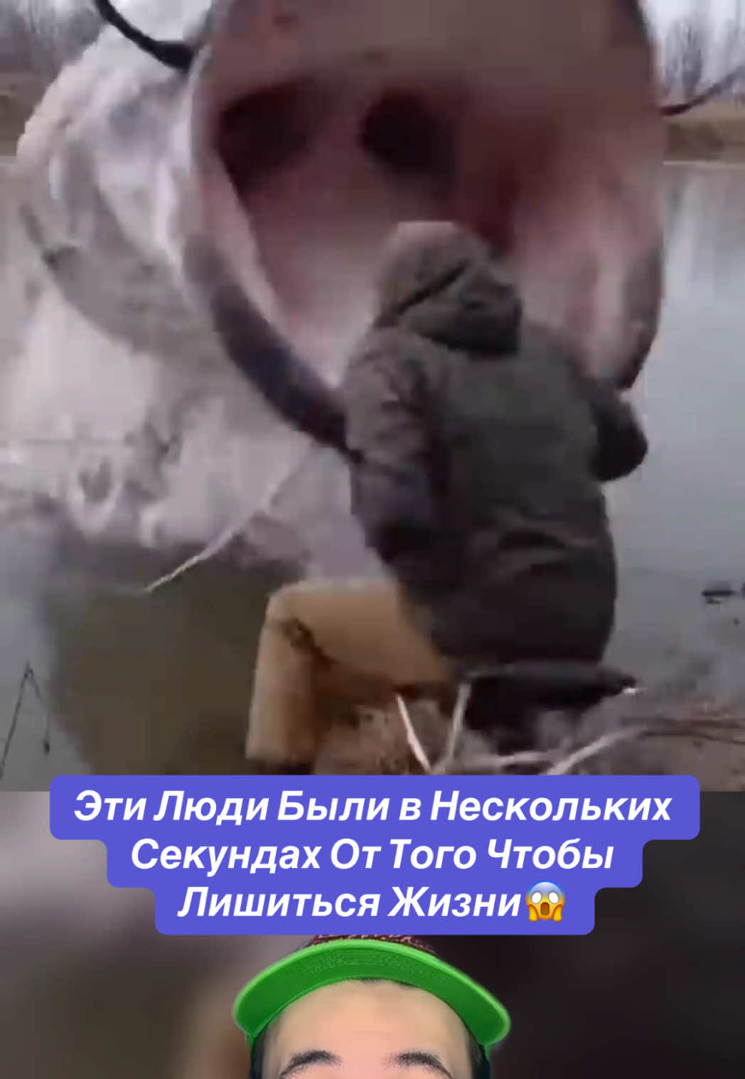 @erkinrx
