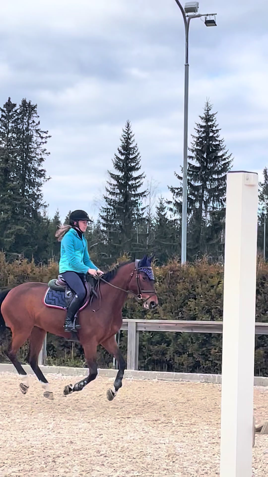 @🦄🐴
