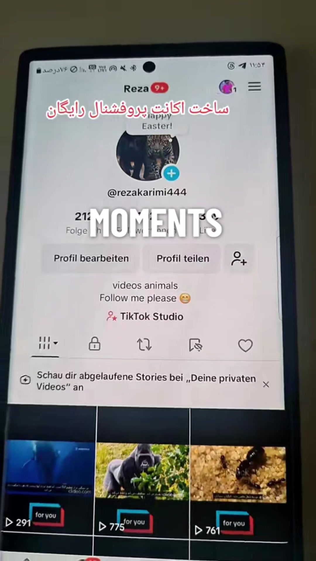 @Reza