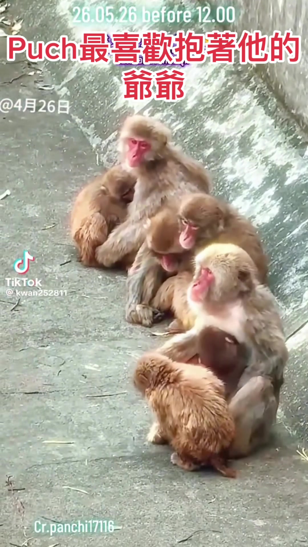 @🦊Nita🇮🇩🇹🇼