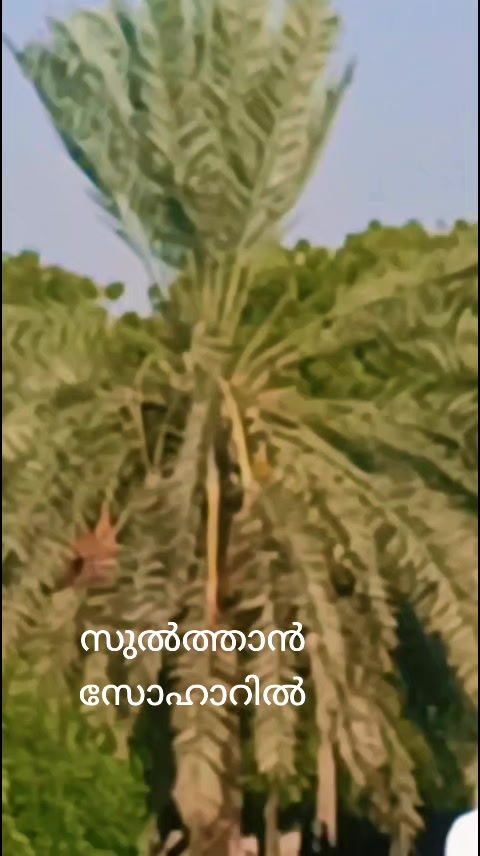@shajiകായംകുളം❤️❤️