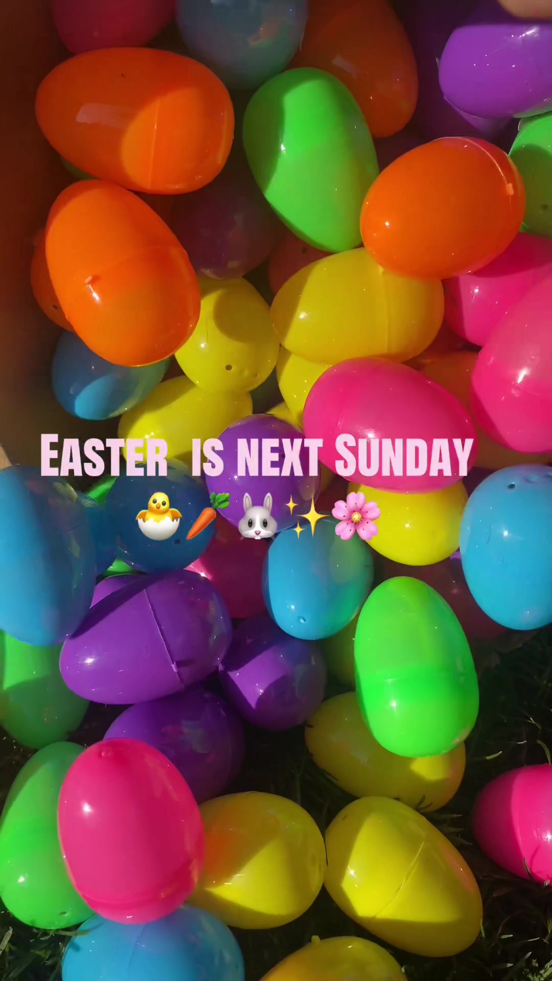 @_Jazzy_xoxo
