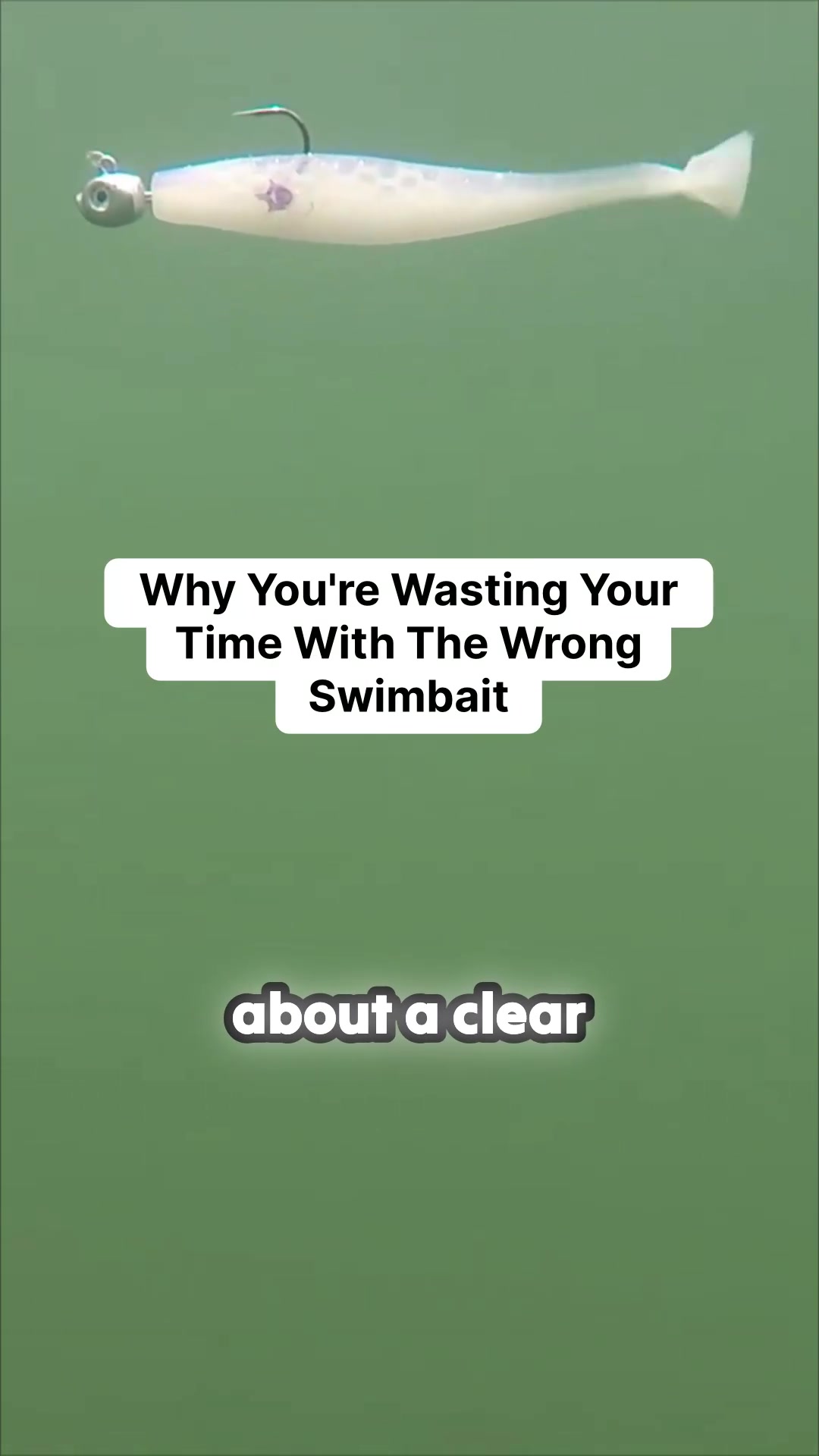 @bassgeek