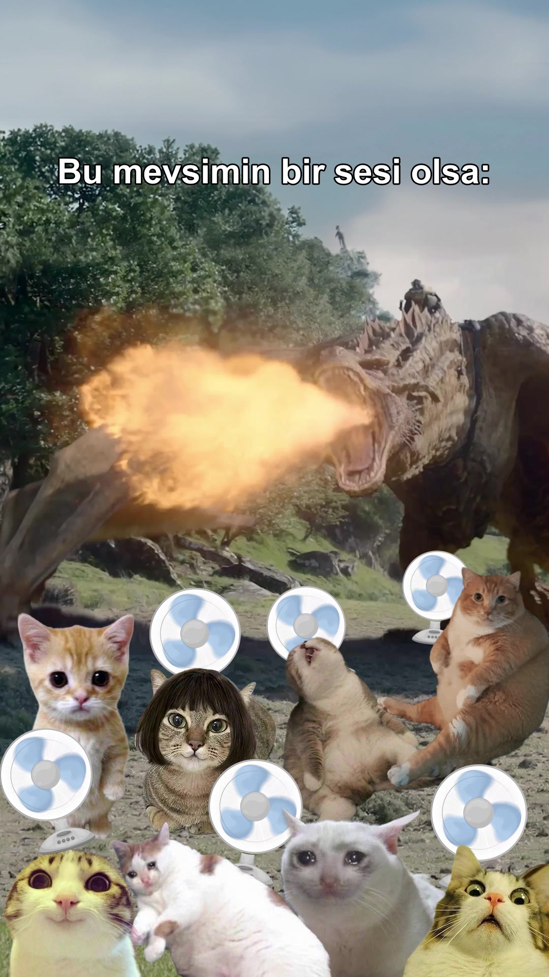 @HBO Max Türkiye