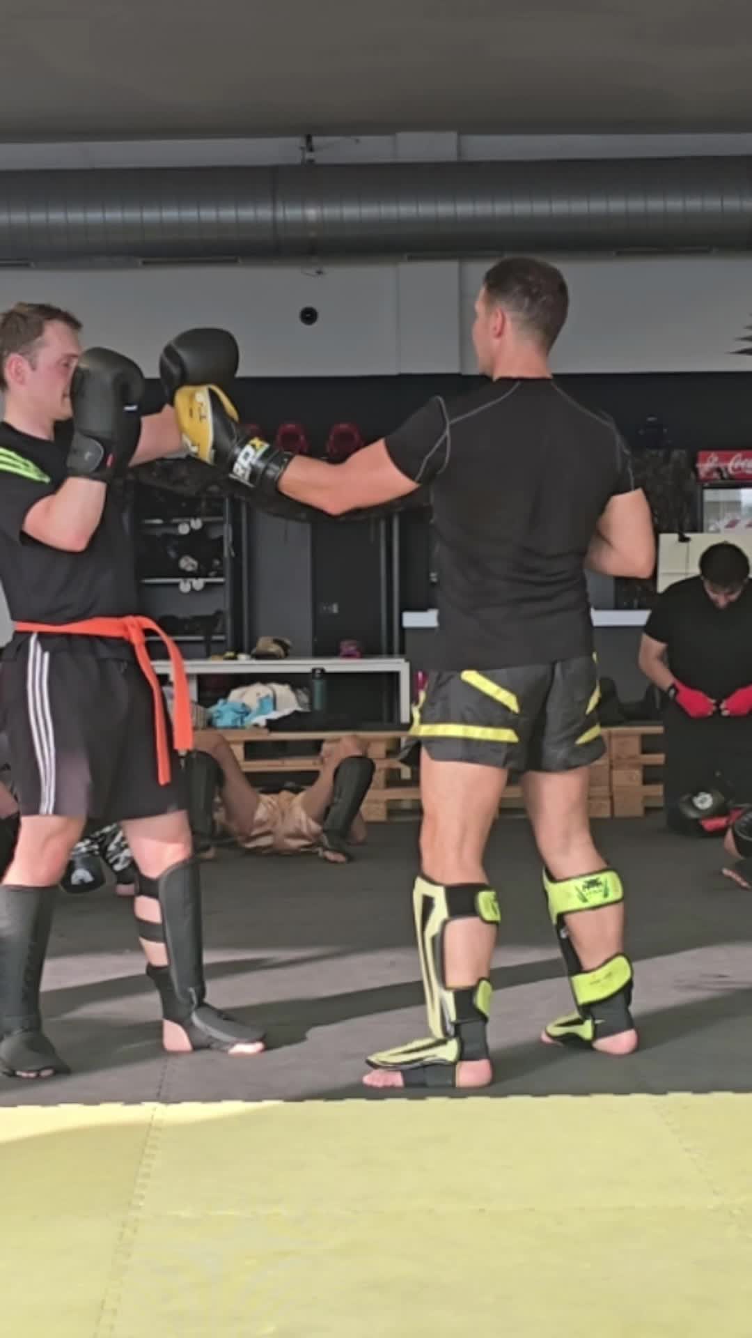 @DIEKICKBOXTRAINER