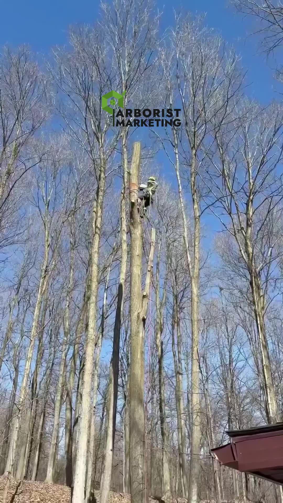@Arborist Marketing Pros