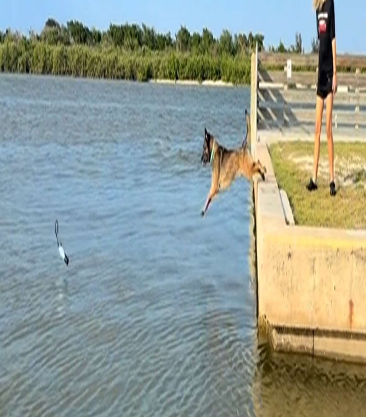 @K9.corporal