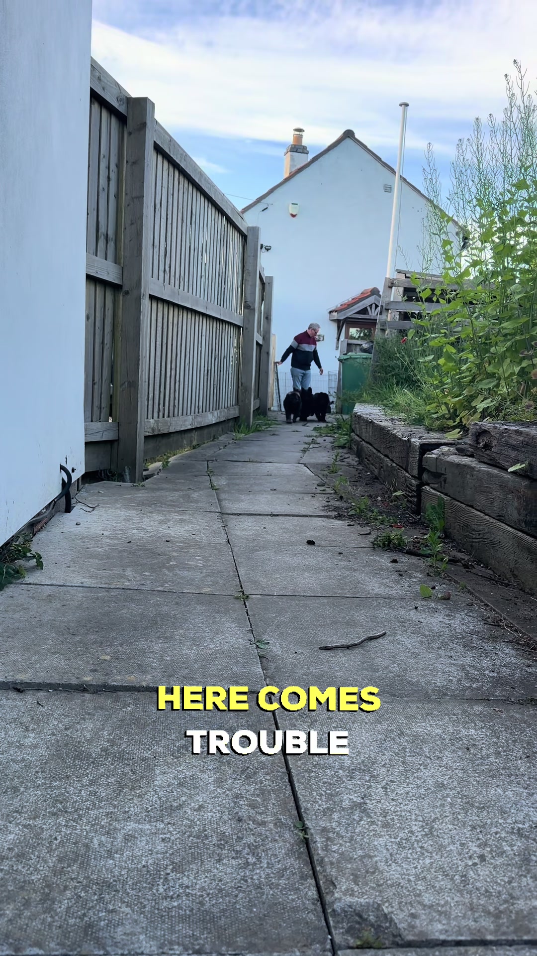 @TheGSDhubwithjennygould
