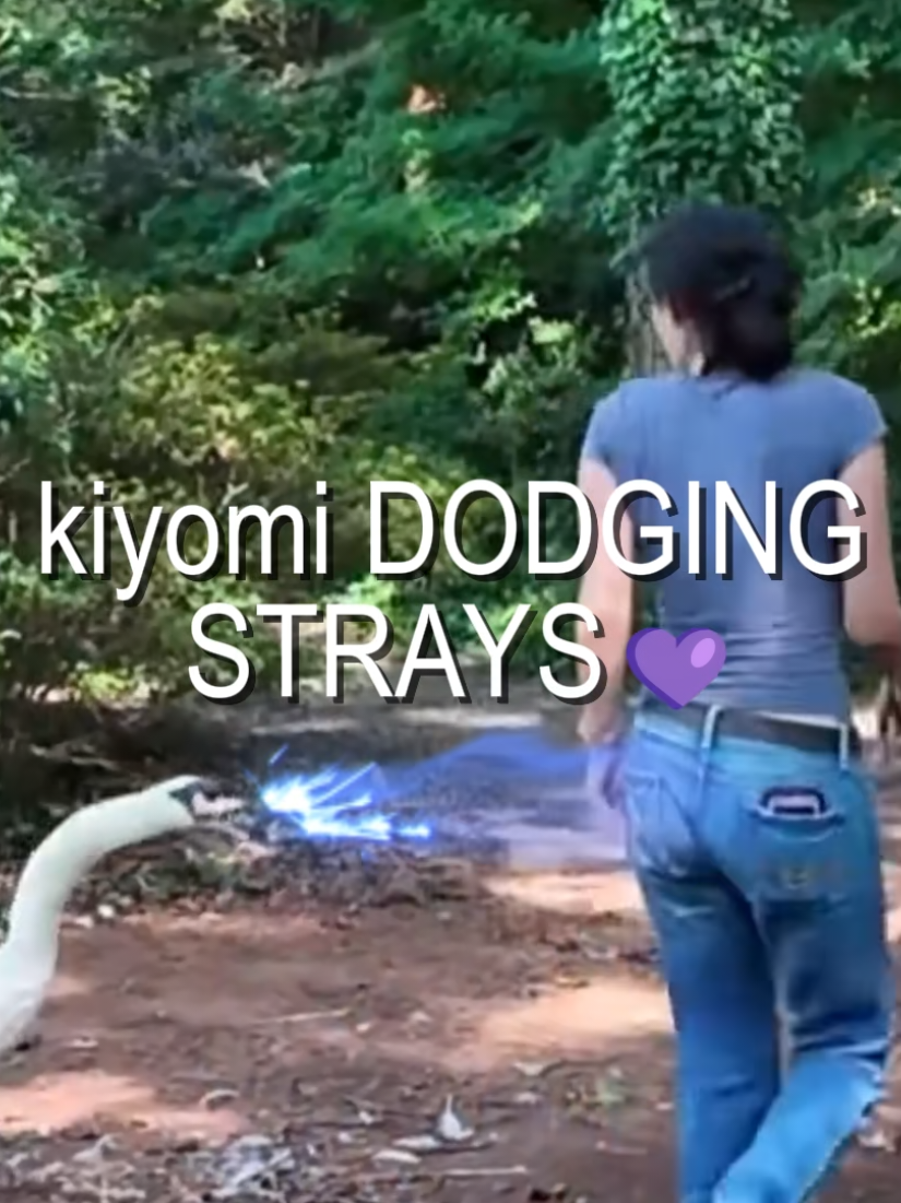 @Cydussy