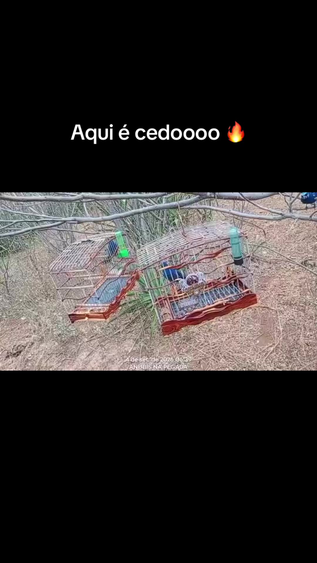 @Gabriel Silva pegada livre 🔥