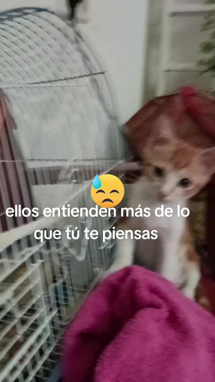 @Vero Jimenez Ferrer