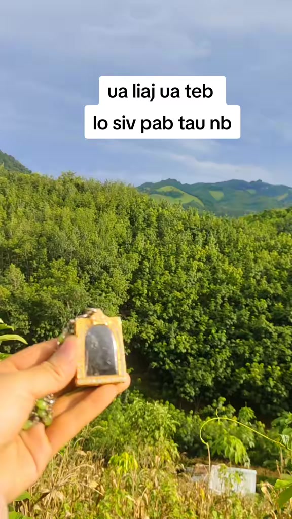 @nkauj see xyooj