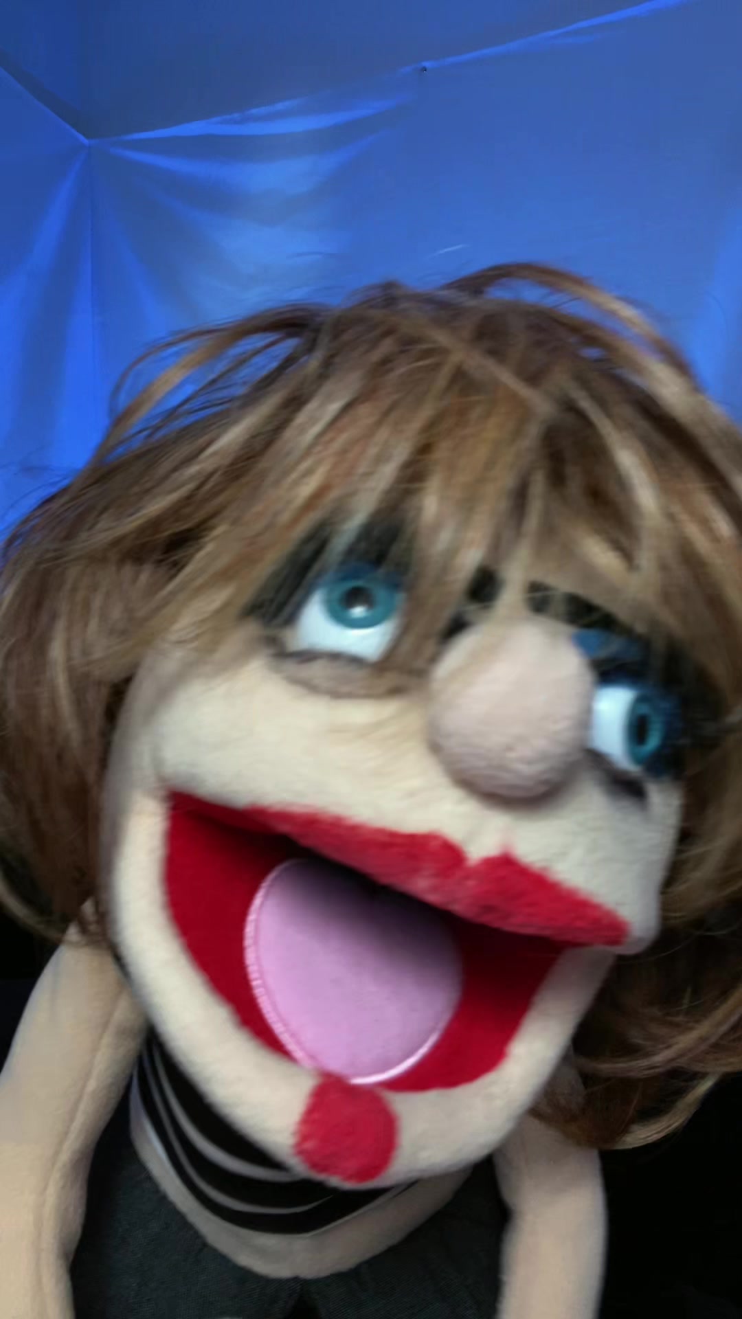 @Goodman&rsquo;s Wacky Puppets