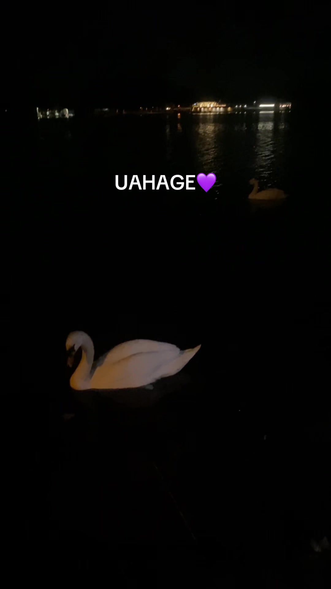 @𐙚