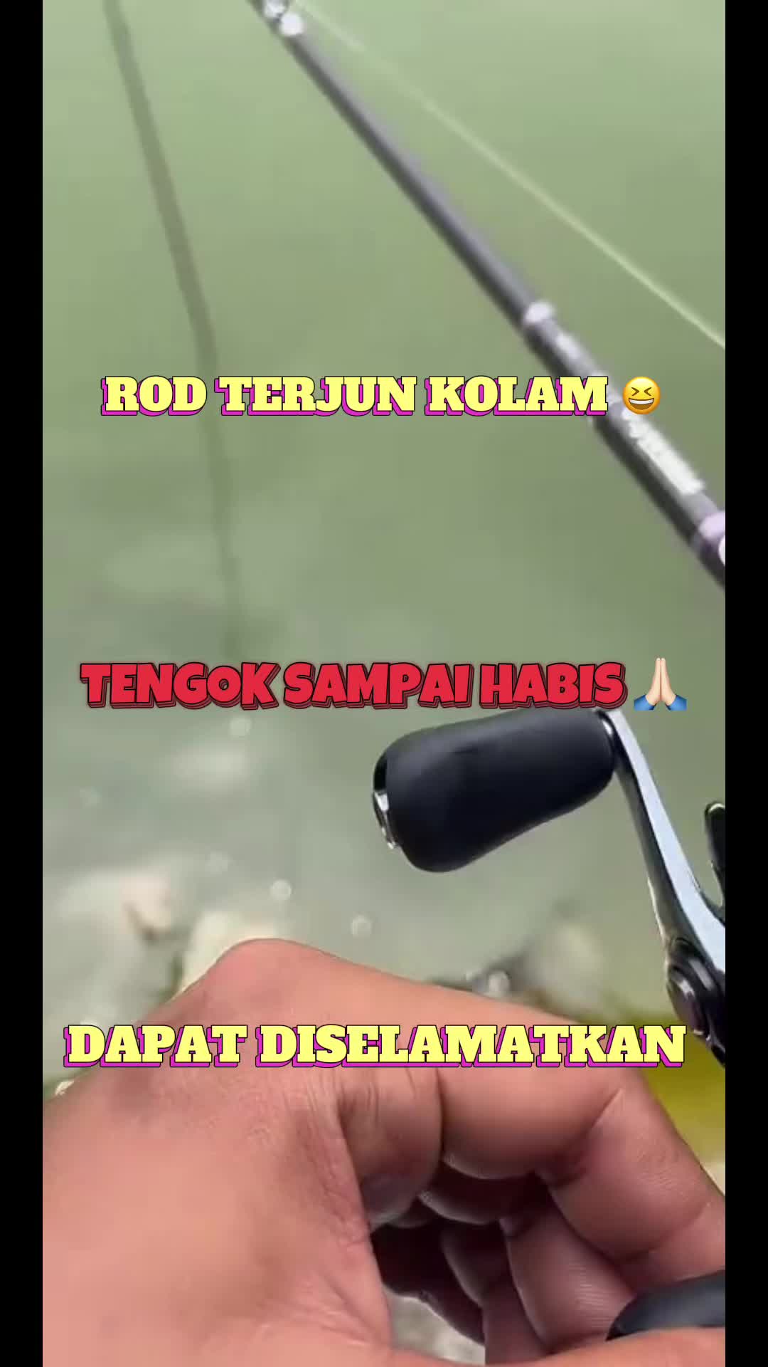 @M Z Reel 🎣