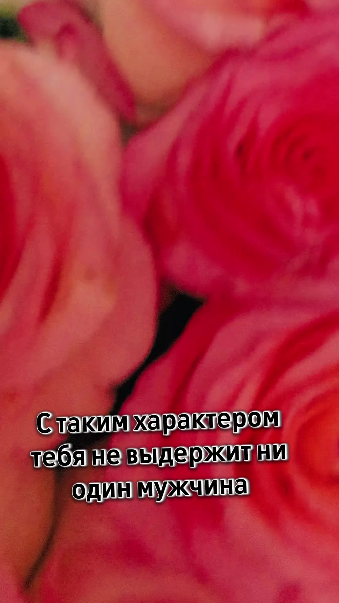 @👑Любимая Королева👑