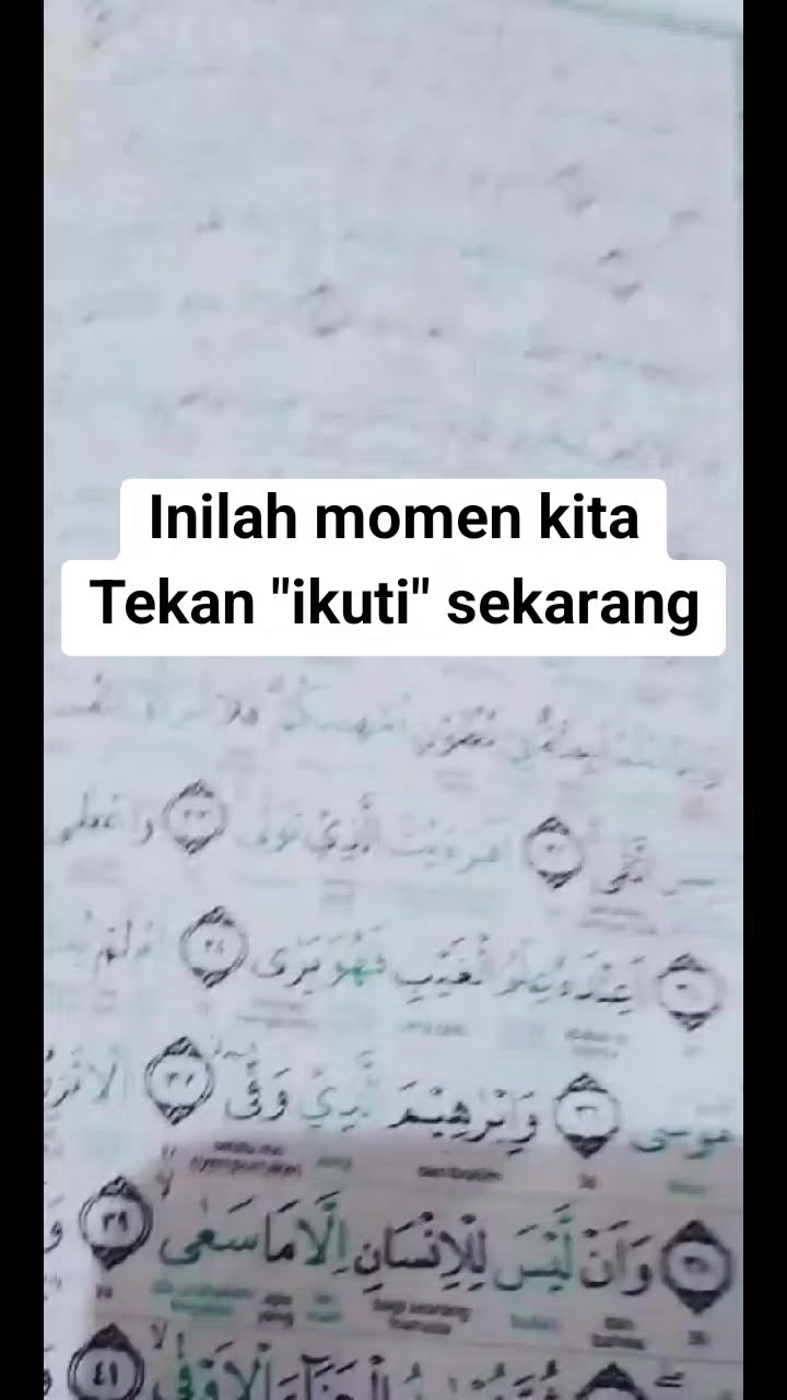 @Bang Tajir💰