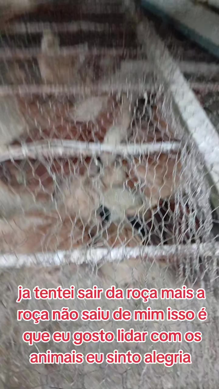 @ELIZEU Batista