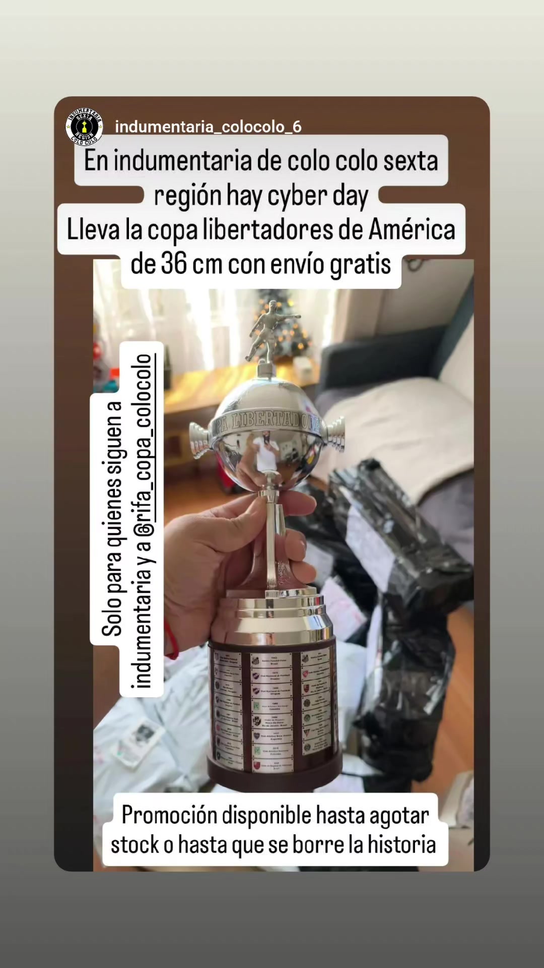 @indumentaria_colocolo_6