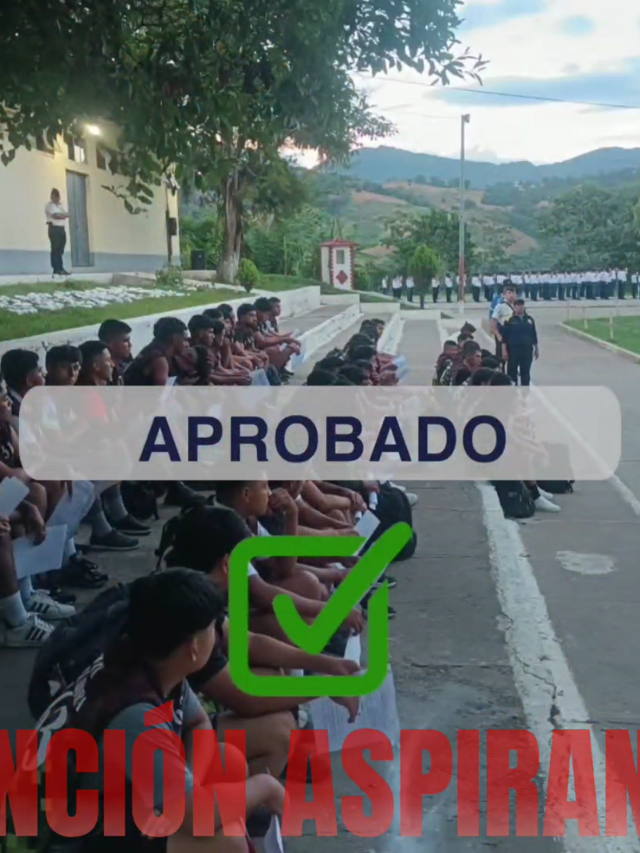 @Rafael Junior