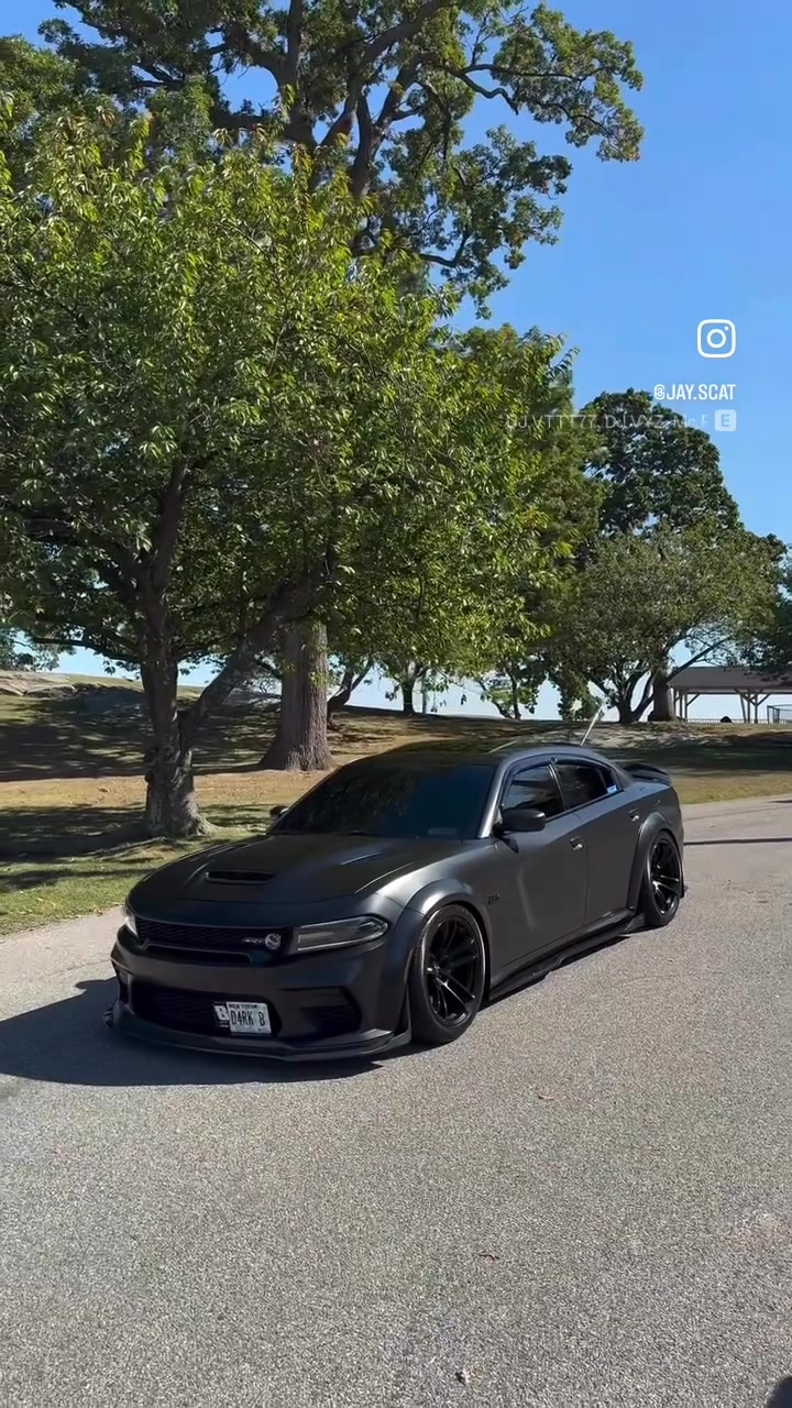 @D4RK.BEE🐝