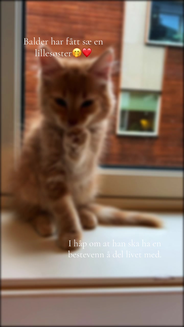@𝐿𝒾𝓈𝑒