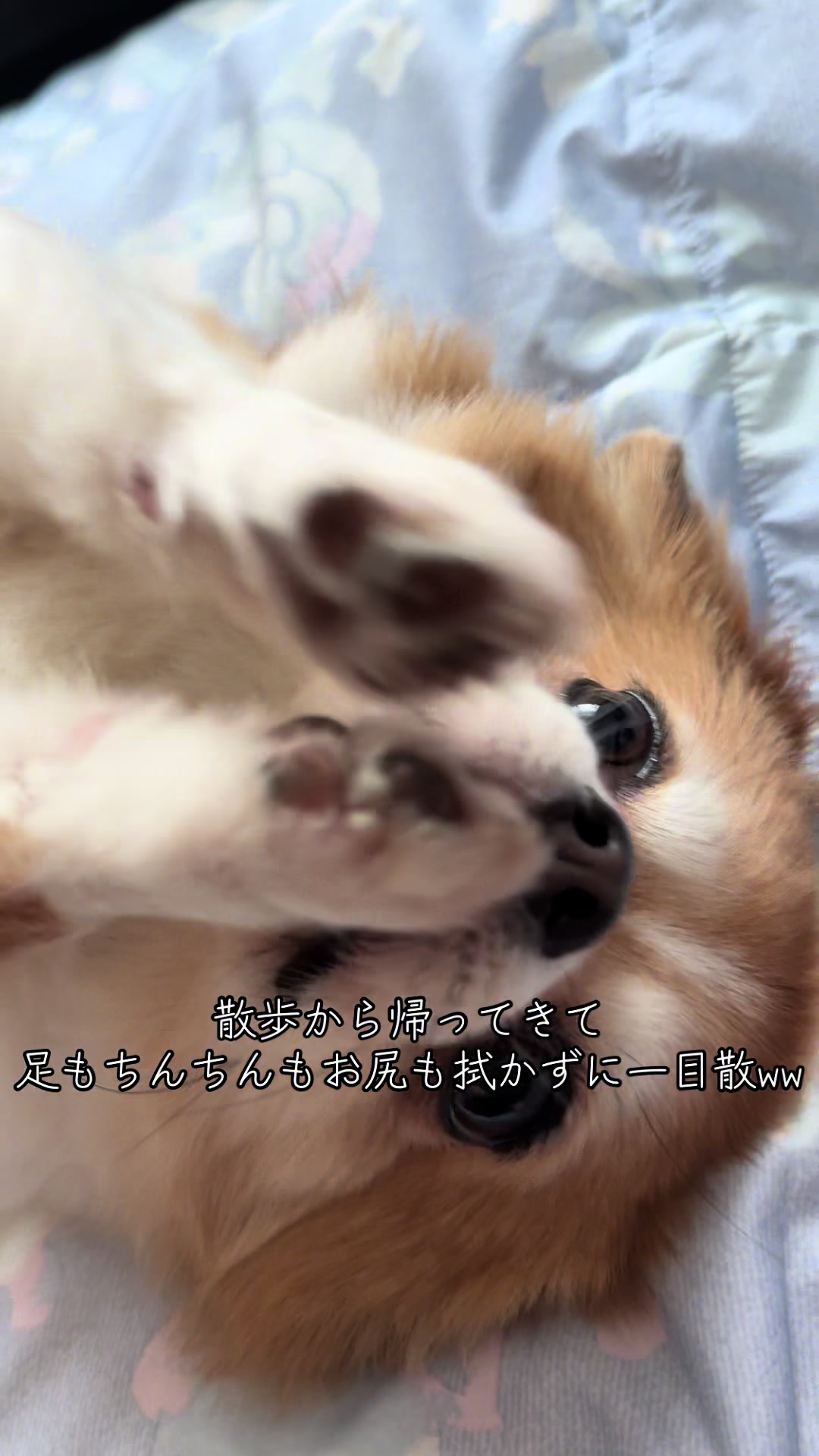 @心太