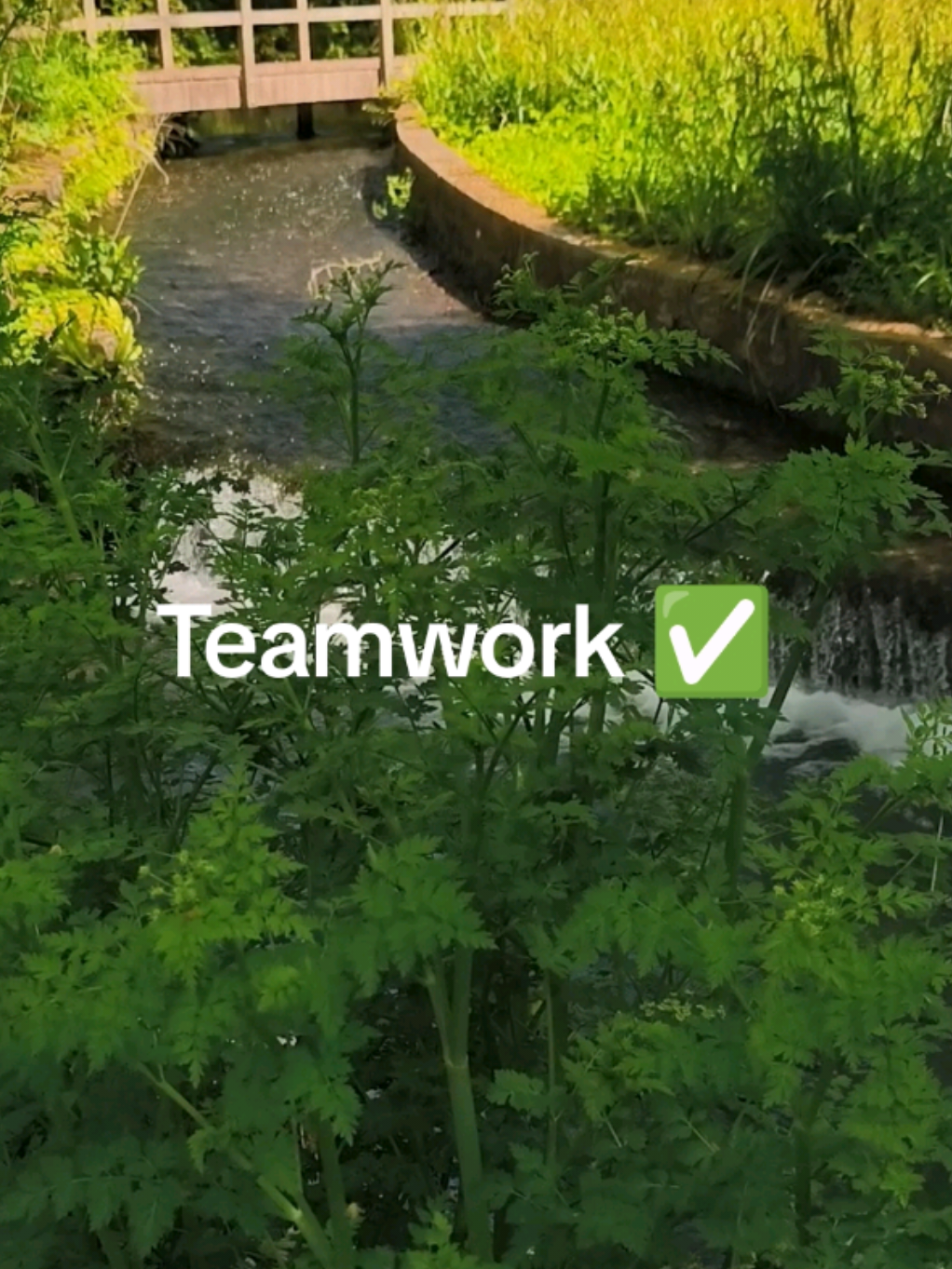 @Teamwork
