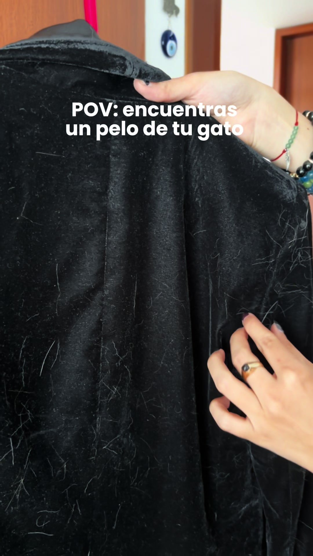 @haceb_