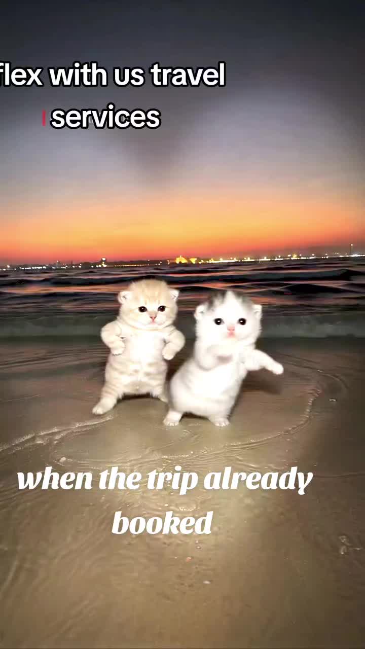 @Flex With Us Travel Services